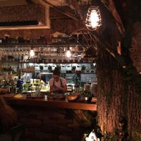 Pandora’s organised Kitchen  at Pandora Greenbox in Split