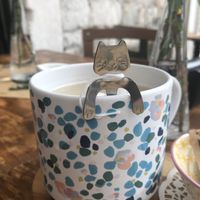 Tea-  at Pandora Greenbox in Split