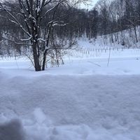   at Cafe Goryo in Furano