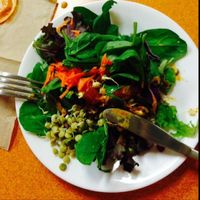 salad at Green Wave Cafe in Plantation