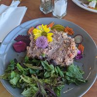  at Baby Birds in Las Vegas