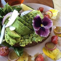 Avocado toast👍🏻 at Baby Birds in Las Vegas