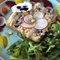 Jackfruit(tuna)toast at Baby Birds in Las Vegas