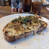 Shrooms on toast at Tamper Sellers Wheel in Sheffield