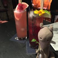   at TerraPlana Café in Porto