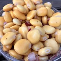 Tremoços - Lupini beans  at TerraPlana Café in Porto