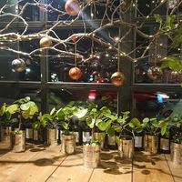 The decorations around christmas at Royals & Rice in Berlin