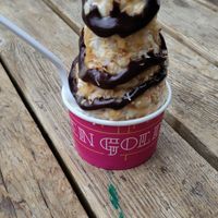 Samoa samoa at Frozen Gold in Colorado Springs