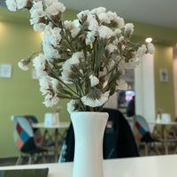   at Dr Veggie in Yerevan