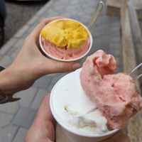 Coconut, red orange, passion fruit at Savini Gelato in Plovdiv