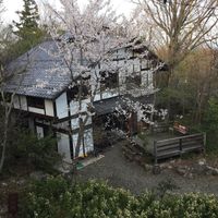 with Sakura, cherry blossom  at Ookinaki in Otsu