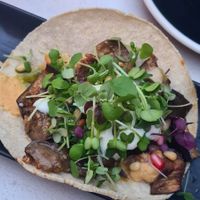 Taco at ERICH in Vienna