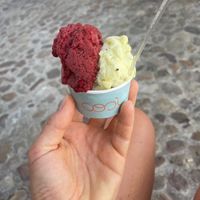 Mora & ribes nore en Pineapple met basil  🌿   at Gelataria COSI in Coimbra