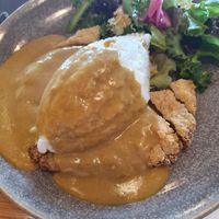 Vegatsu made from seitan -- soo tasty!!  at Wagamama in Paphos