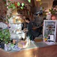 Counter   at Life's a Peach in Utrecht