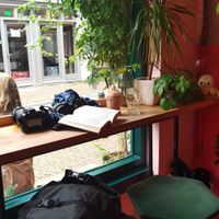  at Life's a Peach in Utrecht