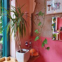 Interior at Life's a Peach in Utrecht