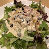 Stuffed avocado salad  at B-Line Diner in Orlando