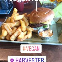 My vegan burger ‘beyond bean burger’.  at The Dog in Stratford-upon-avon