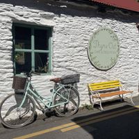   at Thyme Out in Dingle