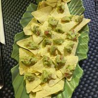   at Nahui in Camaiore