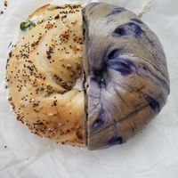 Everything bagel with scallion tofu, blueberry with tofu at Bagel Pub in Brooklyn