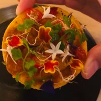 tiny starter at MUYU in Puerto Baquerizo Moreno