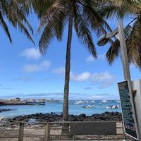 View from our table at MUYU in Puerto Baquerizo Moreno