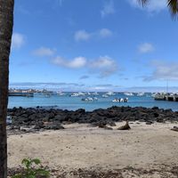 Boats and sea lions out front  at MUYU in Puerto Baquerizo Moreno