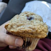 Blueberry muffin (vegan, GF) at The Cackling Goose Market and Bakery Cafe in Sackville