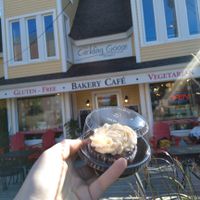 Vegan chocolate cupcake at The Cackling Goose Market and Bakery Cafe in Sackville