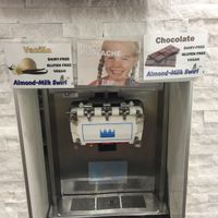 Vegan options at Swirl Fro-Yo in Trenton