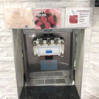 Sorbet options at Swirl Fro-Yo in Trenton