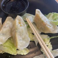 Gyoza at Ebisu in Weston-super-mare