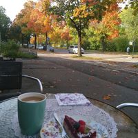 Vegan cake and coffee with oat milk at Café Amore in Helsinki