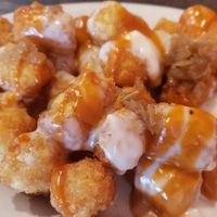 Ginzo Tater Tots, crunchy, cheesy, and well seasoned at Plant Based Mafia in Palm Beach Gardens