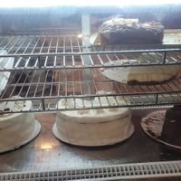  at Plant Based Mafia in Palm Beach Gardens