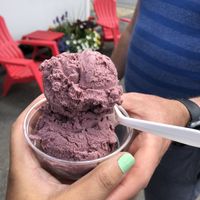 Black Raspberry vegan ice cream   at Seneca Farms in Penn Yan