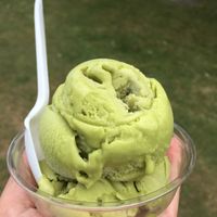 Matcha Green Tea ice cream  at Seneca Farms in Penn Yan