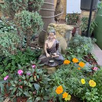Flowers at Karuna Vegie House  in Lyneham