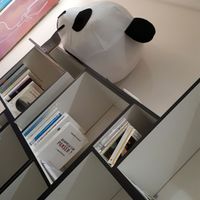 New deco, library at Eat Like Panda in Paris
