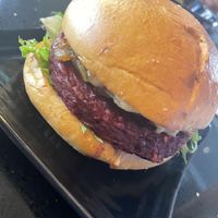   at Copper Branch - Wilfrid Reid in Montreal