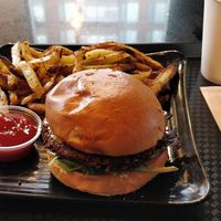  at Copper Branch - Wilfrid Reid in Montreal