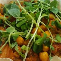 Freekeh Fricasse, ordered for pick-up in April 2002.  at Village Coffee and Goods in Kingston