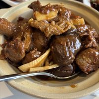   at Zen Gardens in Mississauga