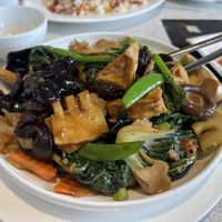   at Zen Gardens in Mississauga