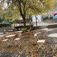 Imagine seated under trees in Summer. at Cosmic Kitchen in Plymouth
