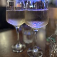 Pinot   at Cosmic Kitchen in Plymouth