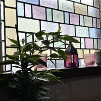 The ambiance   at Cosmic Kitchen in Plymouth