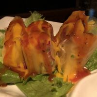 Appetizer 2 at LuAnne's Wild Ginger - Carroll Garden in Brooklyn